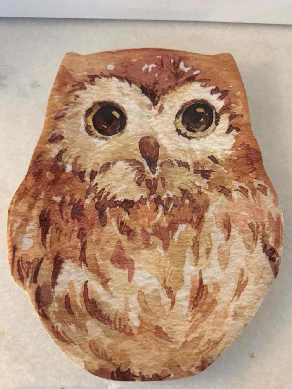 Pier 1 Owl Shaped Melamine Serving Plate Platter Dish